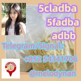 5cladba ADBB 5fadb precursor in stock best supplier
