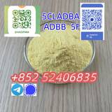 5cladba 5cl yellow powder 5cladba from best supplier