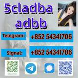 5cladba adbb noids precursor raw material